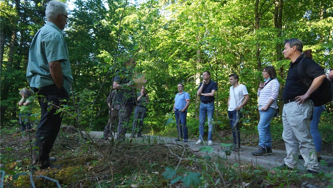 Knifflige Aufgabe für Waldarbeiter am Wildgehege Mit Revierförster Rolf Esslinger (li.) erklärt dem Sternenfelser Gemeinderat, welche Projekte zeitnah im Wald anstehen. Foto: Roller