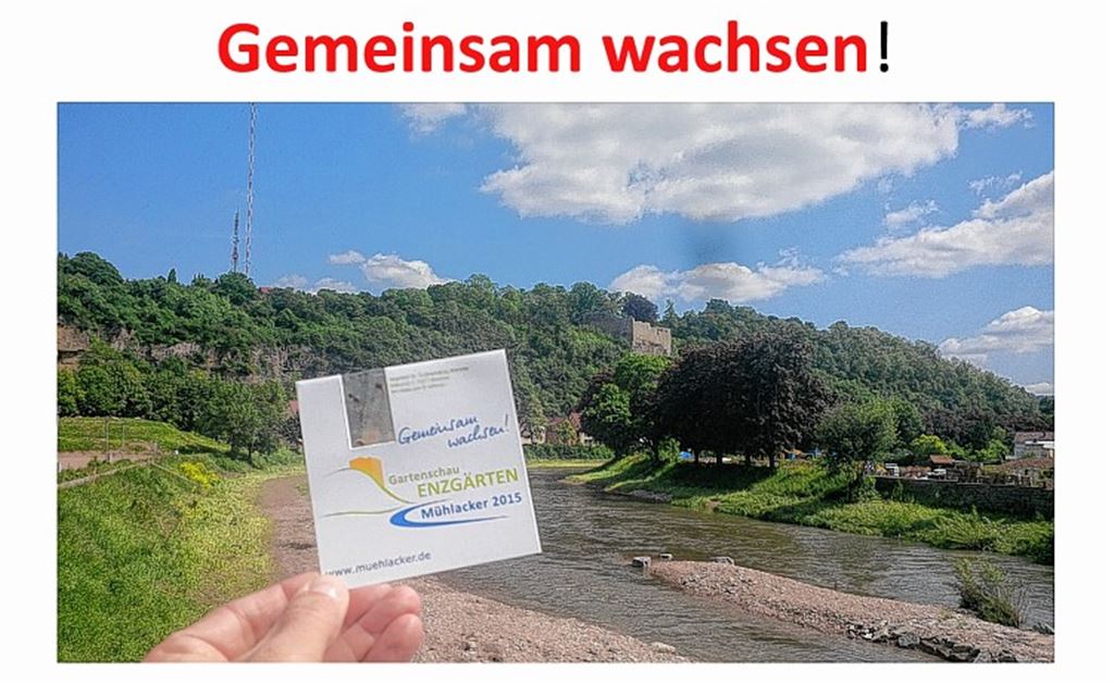 Mit „blumigen“ Slogans macht Citymanager Thomas Müller Appetit auf die Gartenschau 2015.