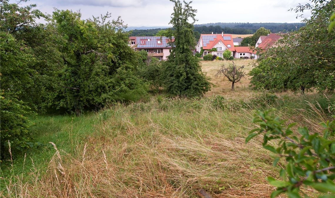 Mit dem Neubaugebiet„Nähere Hofstatt“ in Sternenfels soll Platz für junge Familien geschaffen werden.Fotomoment
