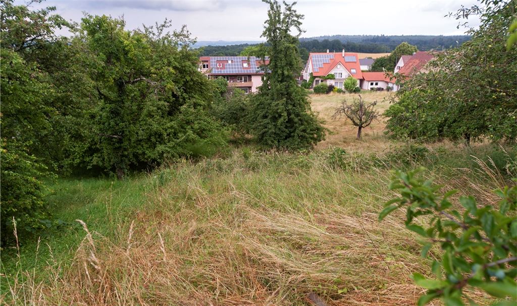 Mit dem Neubaugebiet„Nähere Hofstatt“ in Sternenfels soll Platz für junge Familien geschaffen werden.Fotomoment