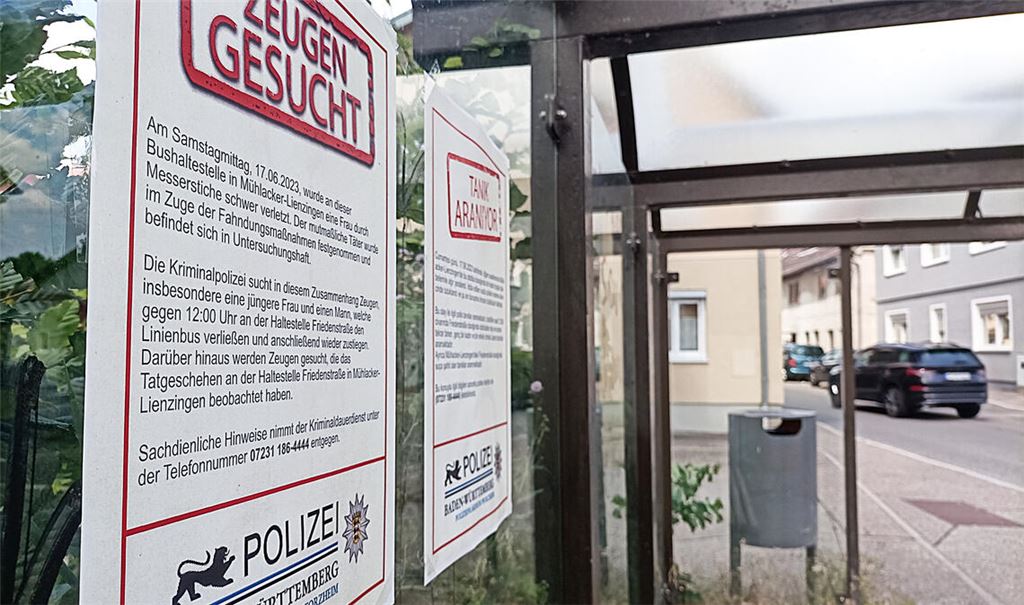 Mit diesen Aushängen sucht die Polizei nach der Tat in Lienzingen Zeugen. Foto: Deeg