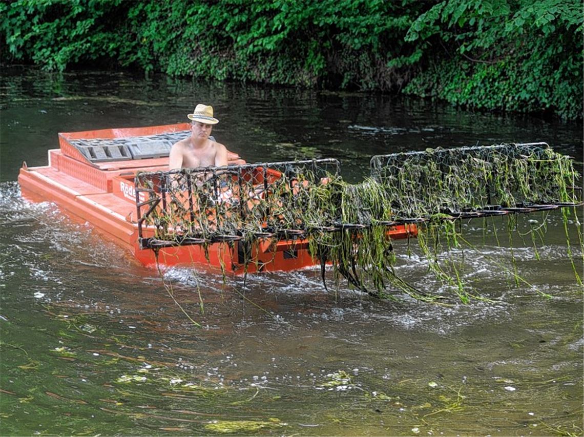 „Die Natur holt sich das Naturfreibad zurück“