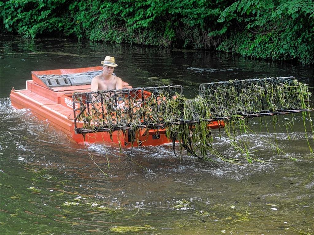 „Die Natur holt sich das Naturfreibad zurück“