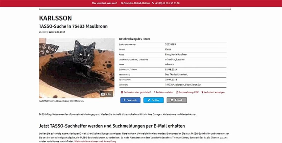 Welle der Empörung schwappt über