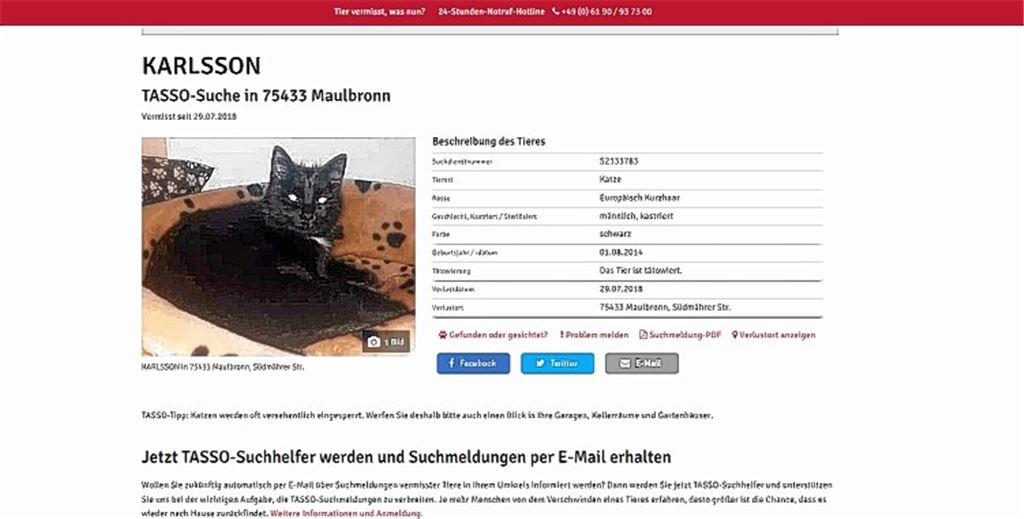 Welle der Empörung schwappt über