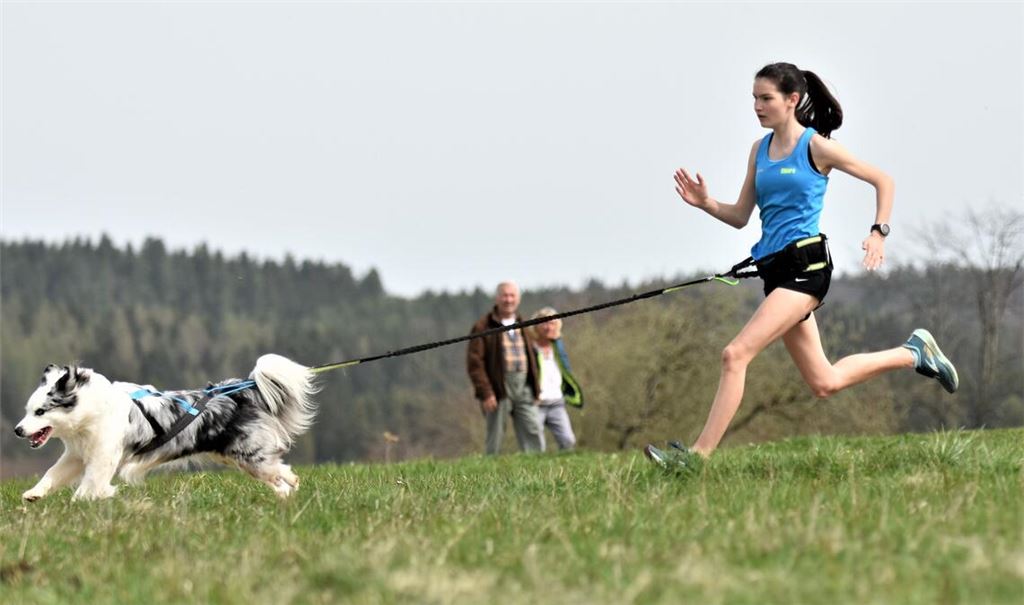 Mit einem Sieg kehren Chiara Heidinger und ihre Australian Shepherd-Hündin Coco von den swhv-Meisterschaften im CaniCross zurück. Foto: privat