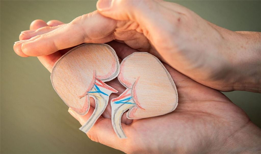 Mit einem gesunden Lebensstil können wir unsere Nieren schützen.