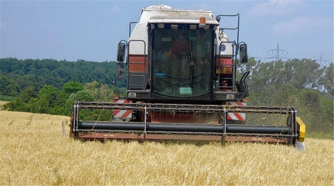 Dauerhitze zwingt Bauern zum Frühstart