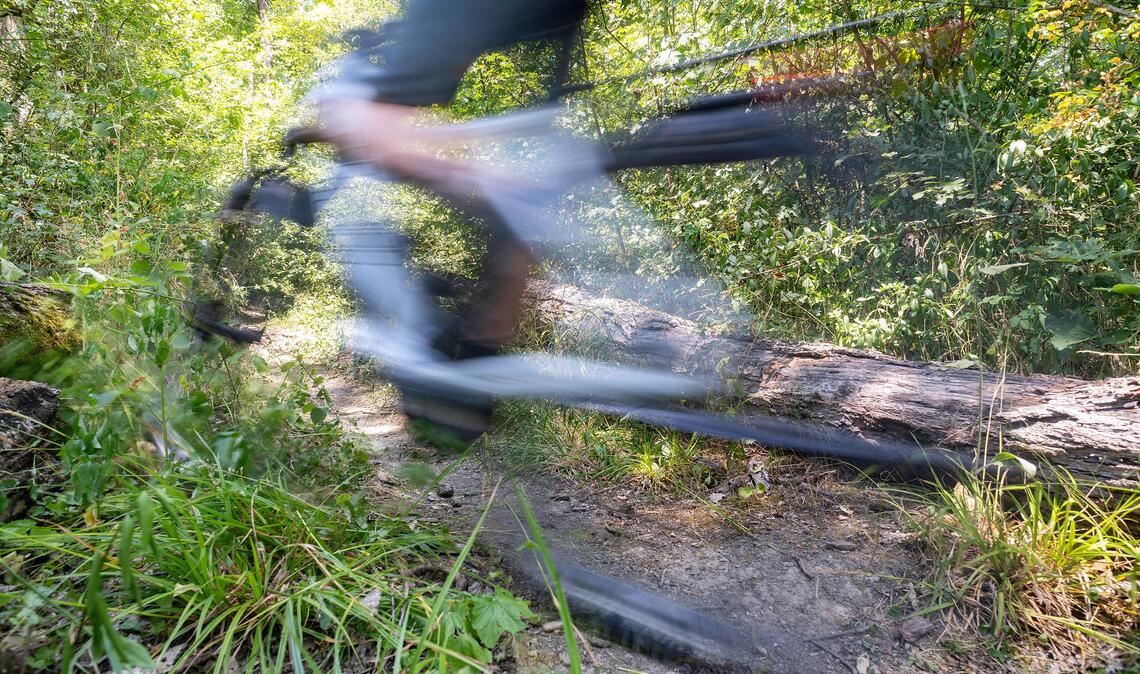 Mit flottem Tempo auf schmalen Pfaden durch den Wald – diese Vorstellung spricht viele Radfahrer an. Erlaubt ist das laut geltendem Recht aber nicht. Fotos. Fotomoment, privat