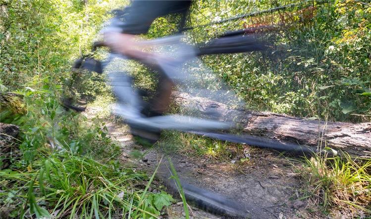 Leserin prangt Rücksichtslosigkeit im Wald an