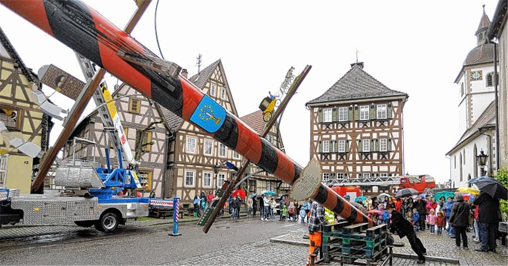 Mit großer Präzision wird der Maibaum in Knittlingen an der Marktstraße in die Höhe gehievt.