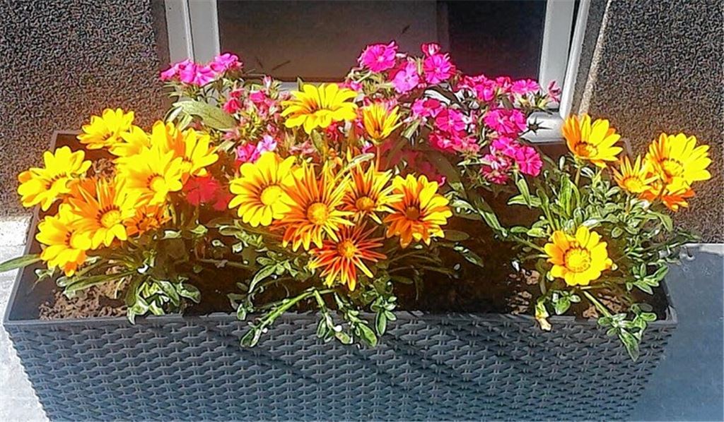 Sommerzeit