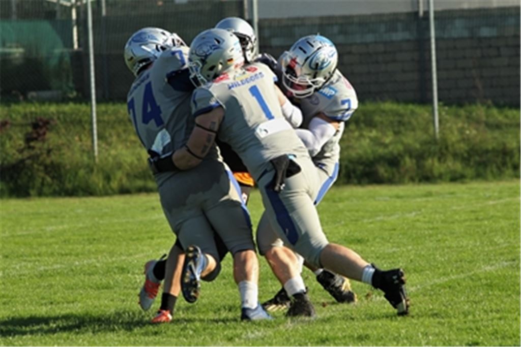 Mitte September schlagen die Wilddogs Pforzheim in der Regionalliga die Stuttgart Silver Arrows deutlich mit 26:3. Foto: privat