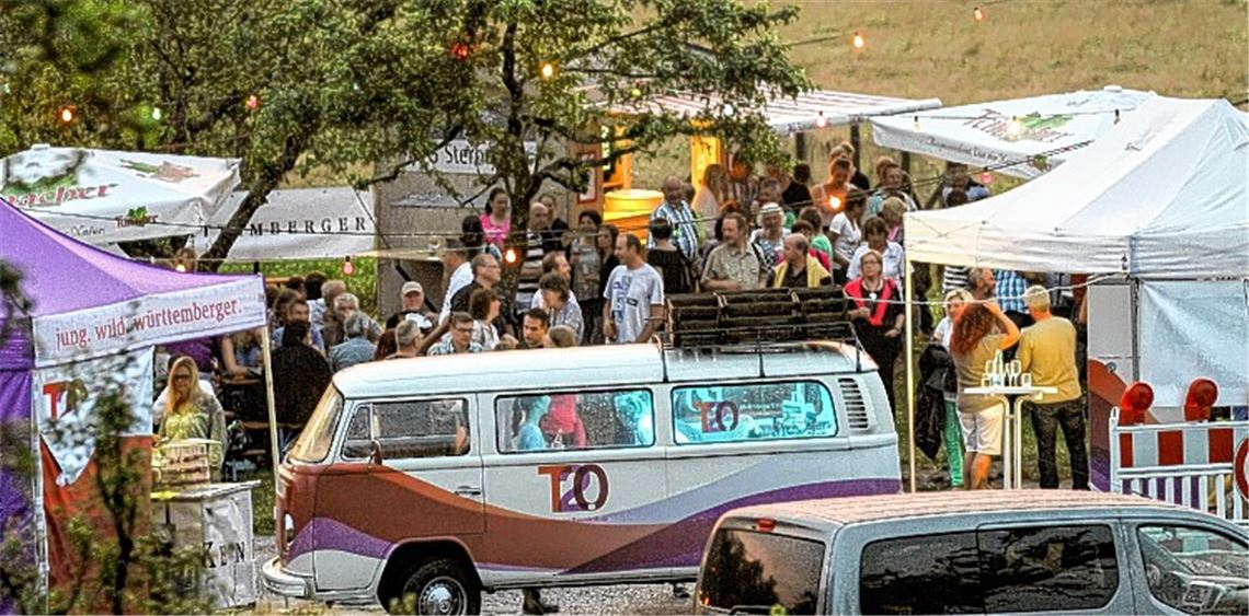 Mitten in den Weinbergen findet das Fest der Genossenschaft Sternenfels statt. Die zahlreichen Besucher lassen sich von der zunächst wenig verheißungsvollen Witterung nicht abhalten.
