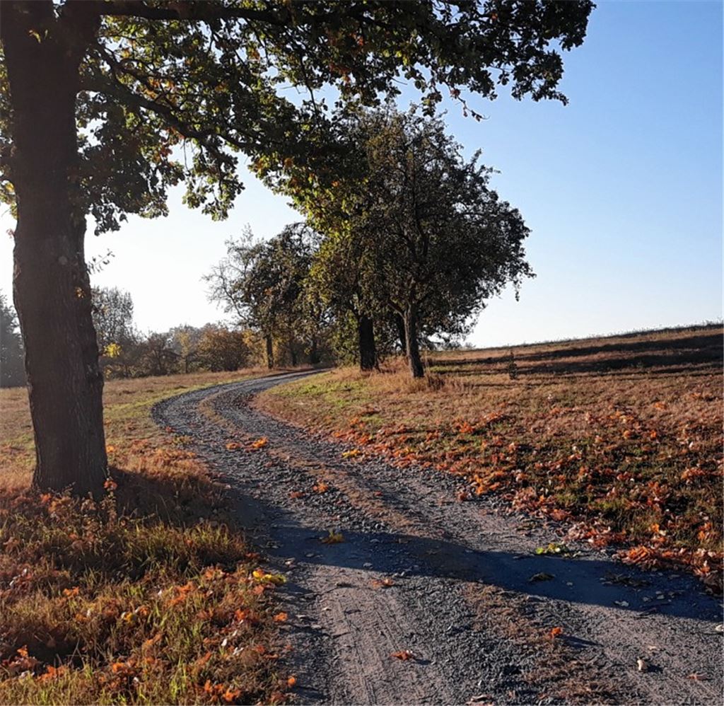 Herbstfarben