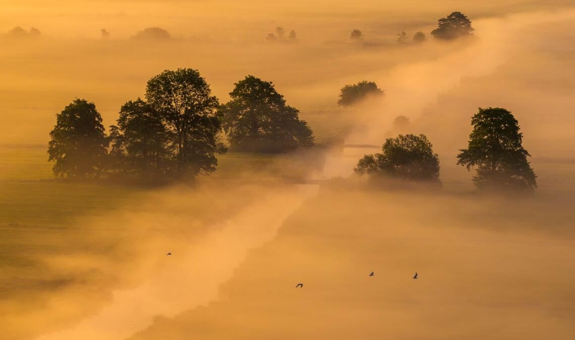 Morgennebel und Sonnenaufgang