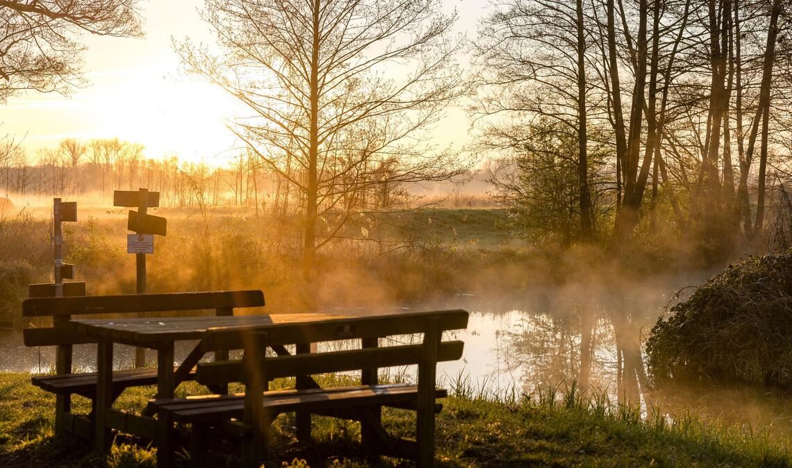 Morgens im Spreewald
