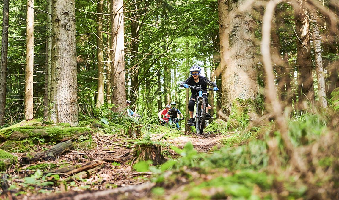Mountainbiker wünschen sich mehr legale, ausgewiesene Routen im Wald. Foto: Wegener
