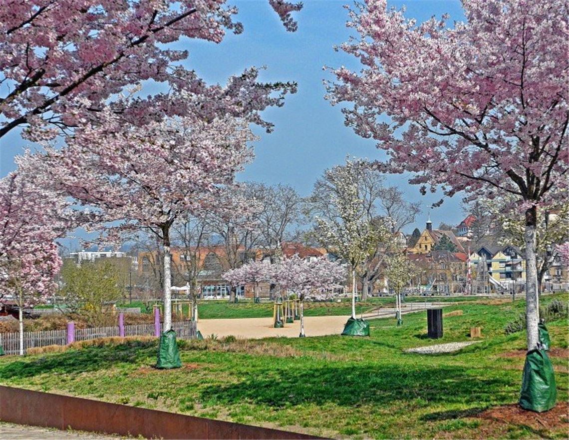 Frühlingsgefühle Frühlingsgefühle