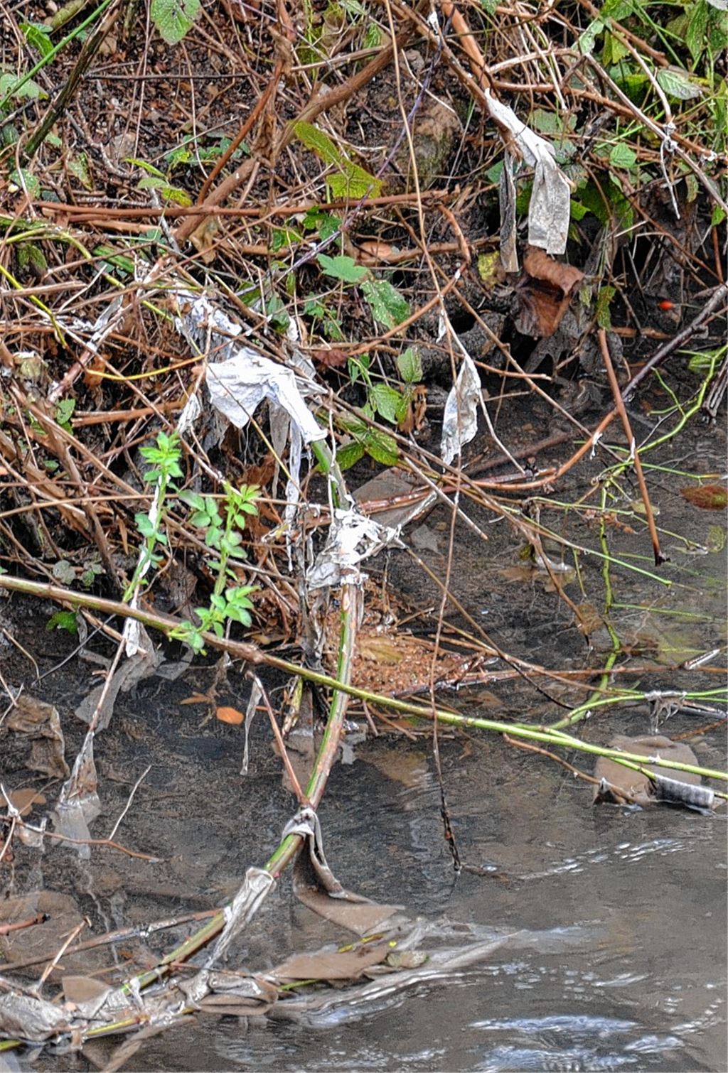 Ärger über Müll im Glattbach