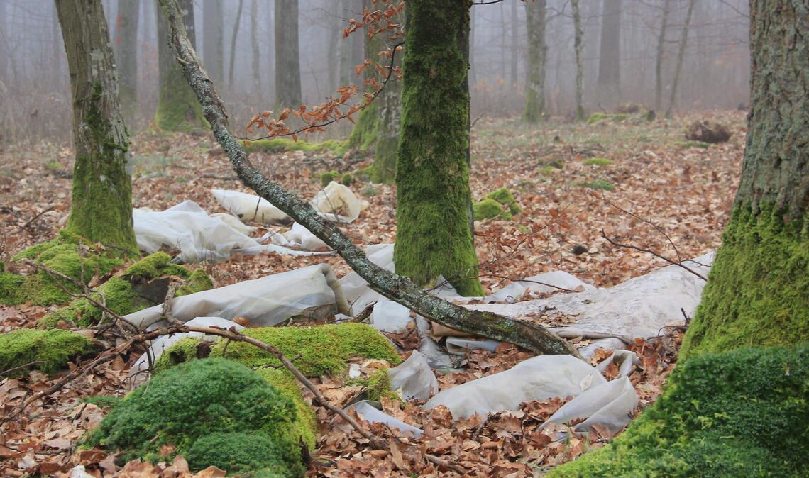 Müll im Wald bei Maulbronn. Foto: privat