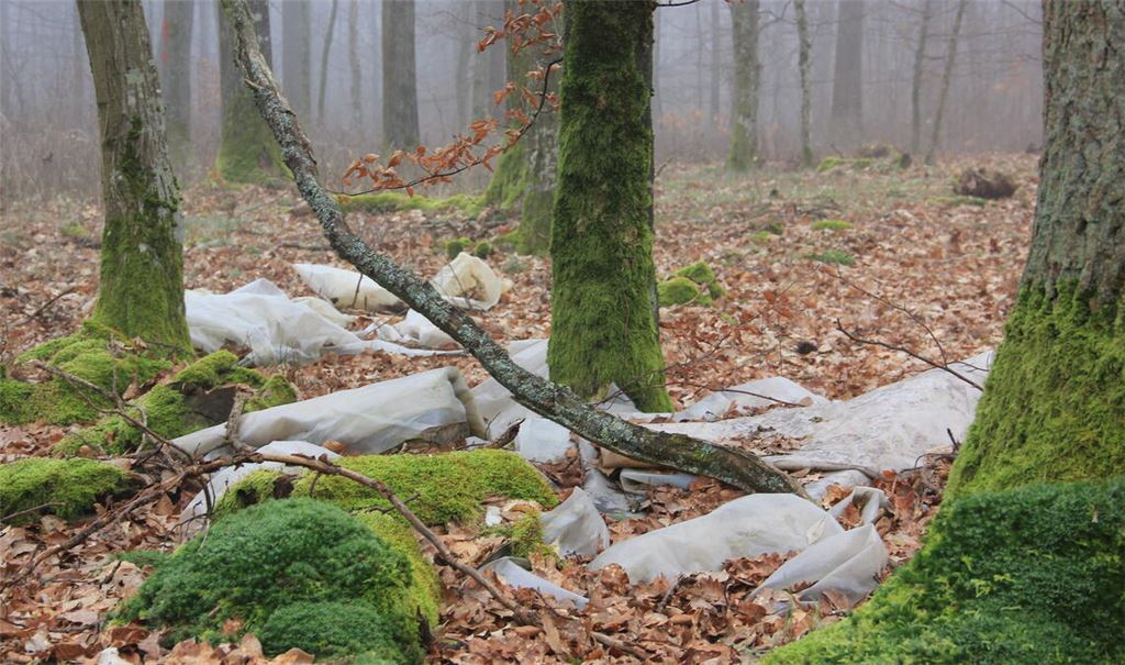 Müll im Wald bei Maulbronn. Foto: privat