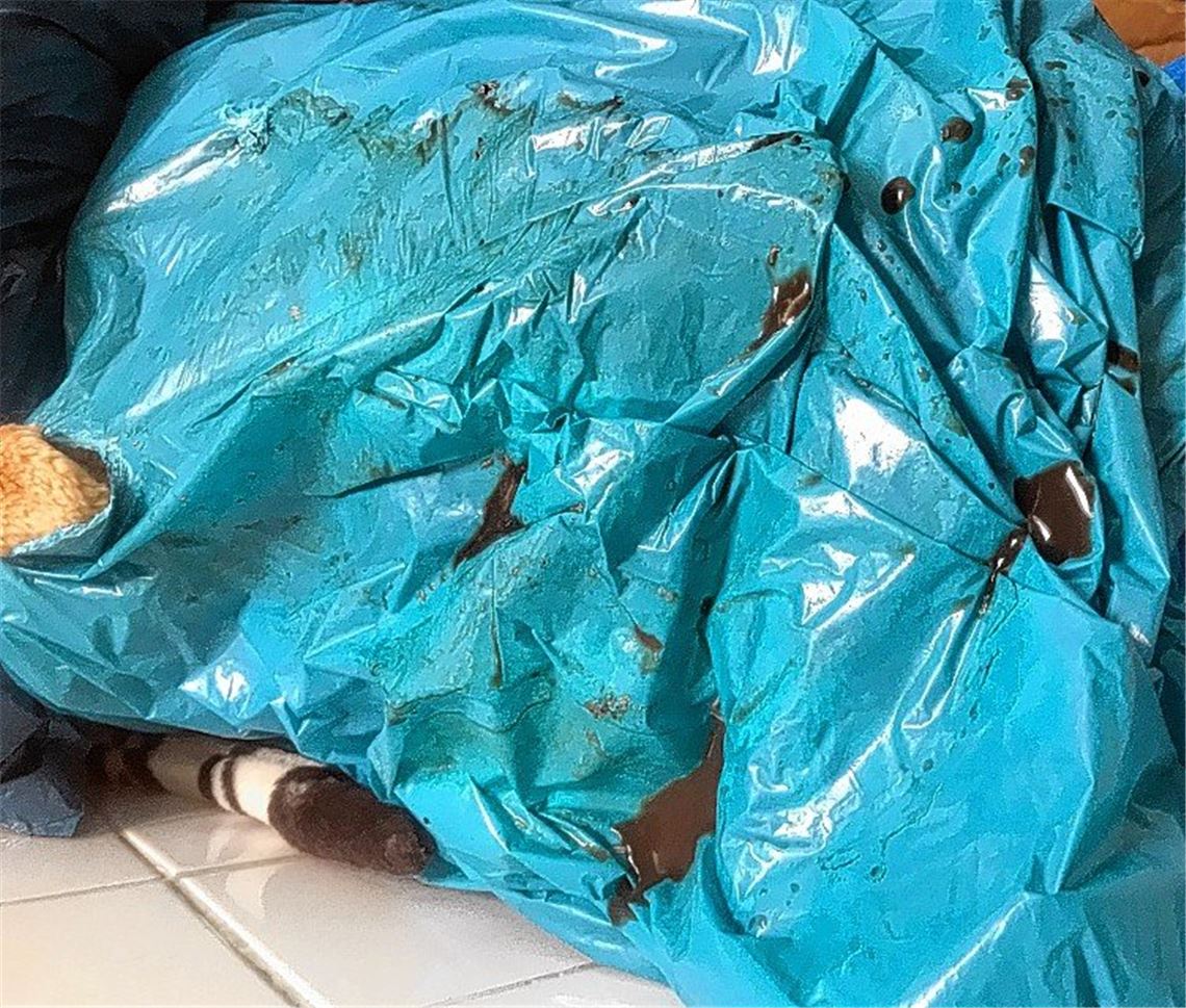 „Altkleidercontainer sind kein Müllablageplatz“