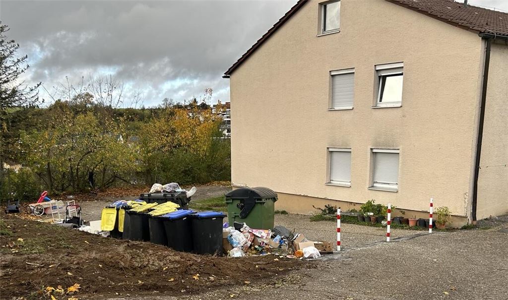 Müllberge am Falkenweg: Die Stadtverwaltung kennt das Problem. Die Bewohner der Unterkünfte würden aktuell sensibilisiert.Foto: privat