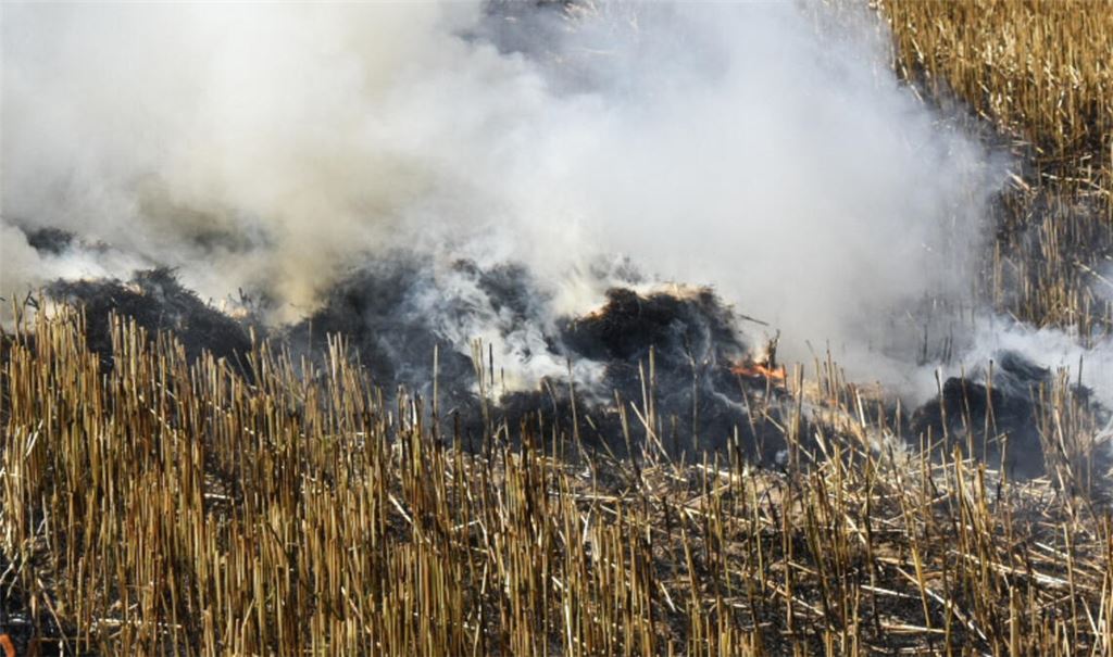 Mutmaßlicher Brandstifter wollte Sicherung von Beweismitteln verhindern. Symbolfoto: Archiv/Myroshnichenko