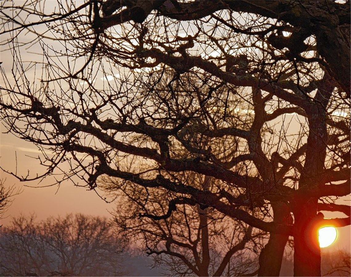 Frühlingsgefühle Frühlingsgefühle