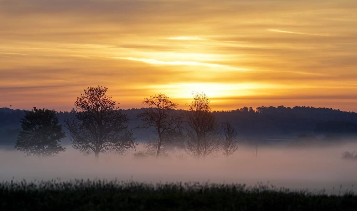 Mystischer Start in den Tag: Bodennebel und Sonnenaufgang in Unlingen