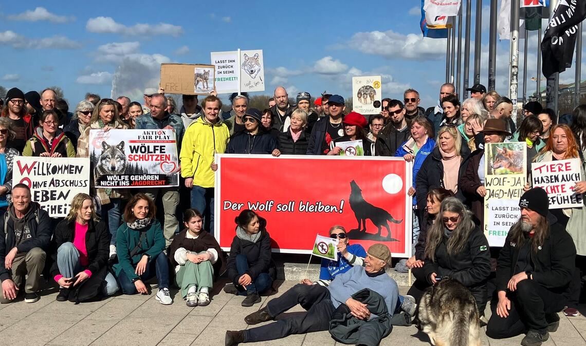Nach Angaben der Veranstalter nahmen bis zu 150 Menschen an der Mahnwache für den Wolf teil.