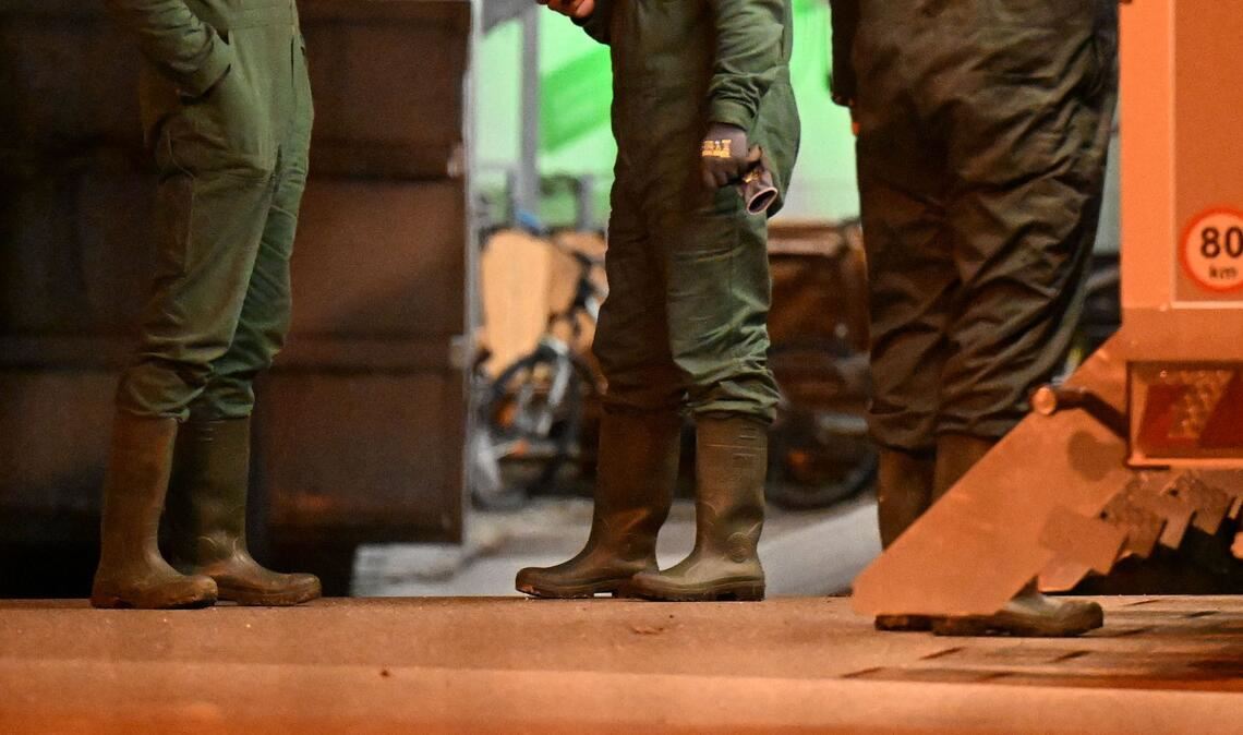 Nach dem Ausbruch der Vogelgrippe in Baden-Württemberg müssen in einem Geflügelbetrieb im Alb-Donau-Kreis südöstlich von Stuttgart rund 15.000 Tiere getötet werden.