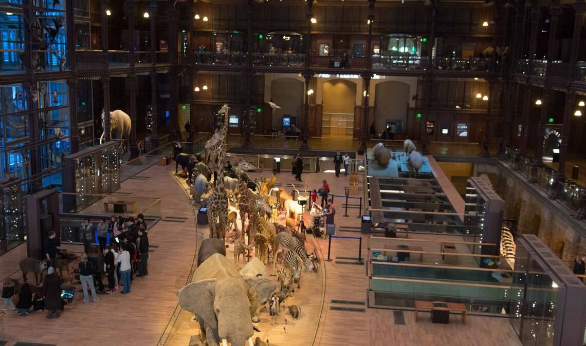 Nach dem Diebstahl seltener Goldnuggets aus dem Pariser Naturkundemuseum sitzt eine 24-jährige Chinesin in Untersuchungshaft (Archivfoto).