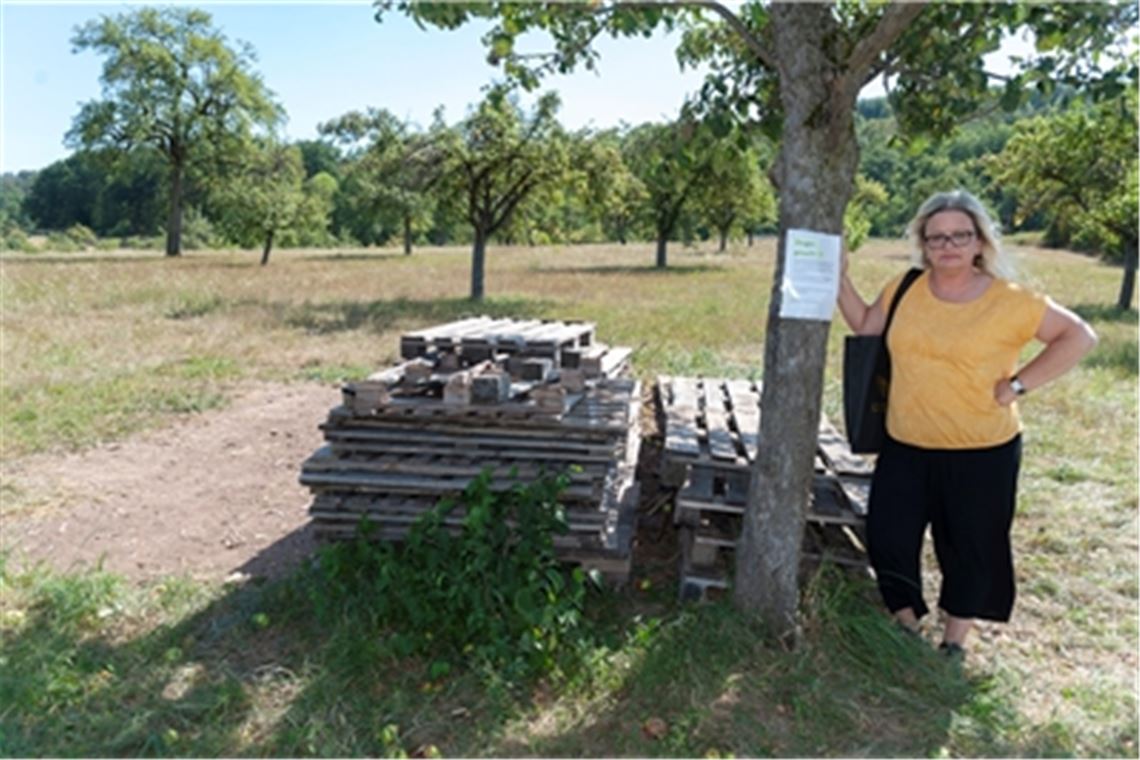 „Brennholz-Hype“ ruft Diebe auf den Plan Nach dem Diebstahl von vier Festmetern Brennholz von einer Obstwiese in Schützingen, hat Melanie Mangiavillano ihr restliches Brennholz in Sicherheit gebracht. Fotos: Fotomoment