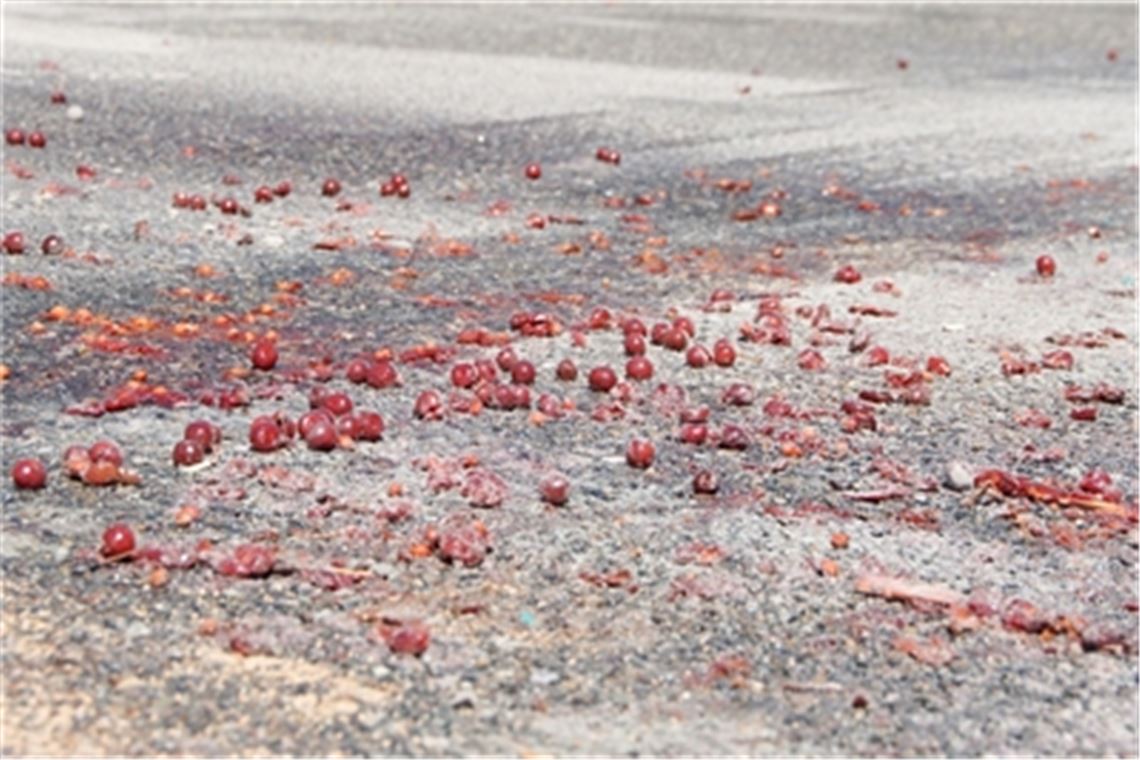 Nach dem Malheur auf der Autobahn zwischen Heimsheim und Pforzheim-Süd muss die Fahrbahn aufwendig gereinigt werden. Foto: Myroshnichenko