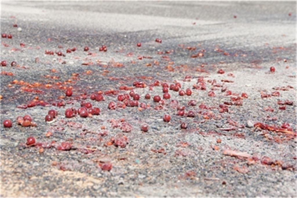 Nach dem Malheur auf der Autobahn zwischen Heimsheim und Pforzheim-Süd muss die Fahrbahn aufwendig gereinigt werden. Foto: Myroshnichenko