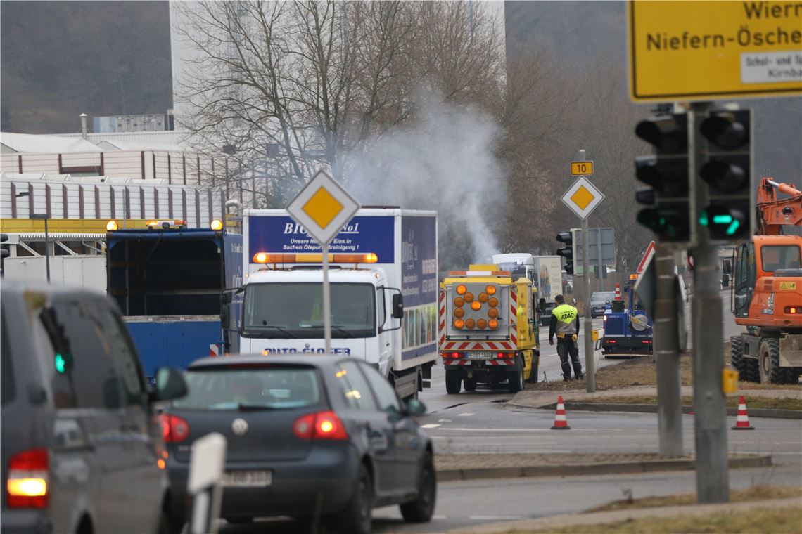 lh B10 Niefern Flüssigkeit ausgelaufen (2)