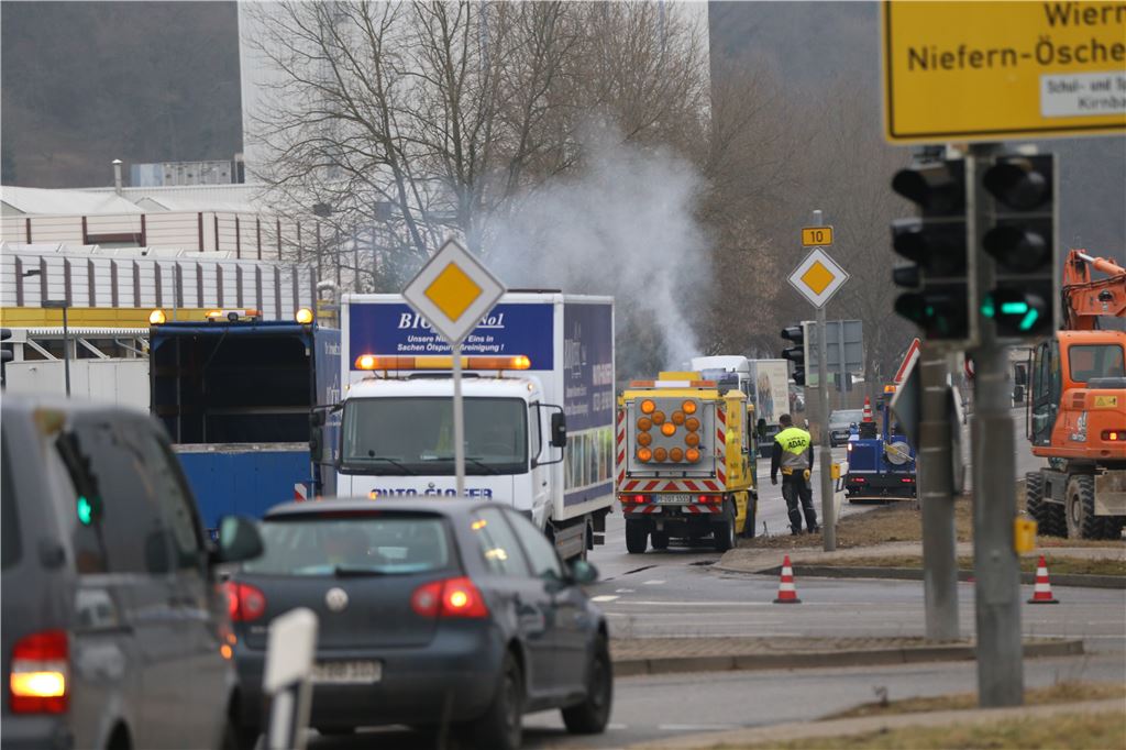 lh B10 Niefern Flüssigkeit ausgelaufen (2)