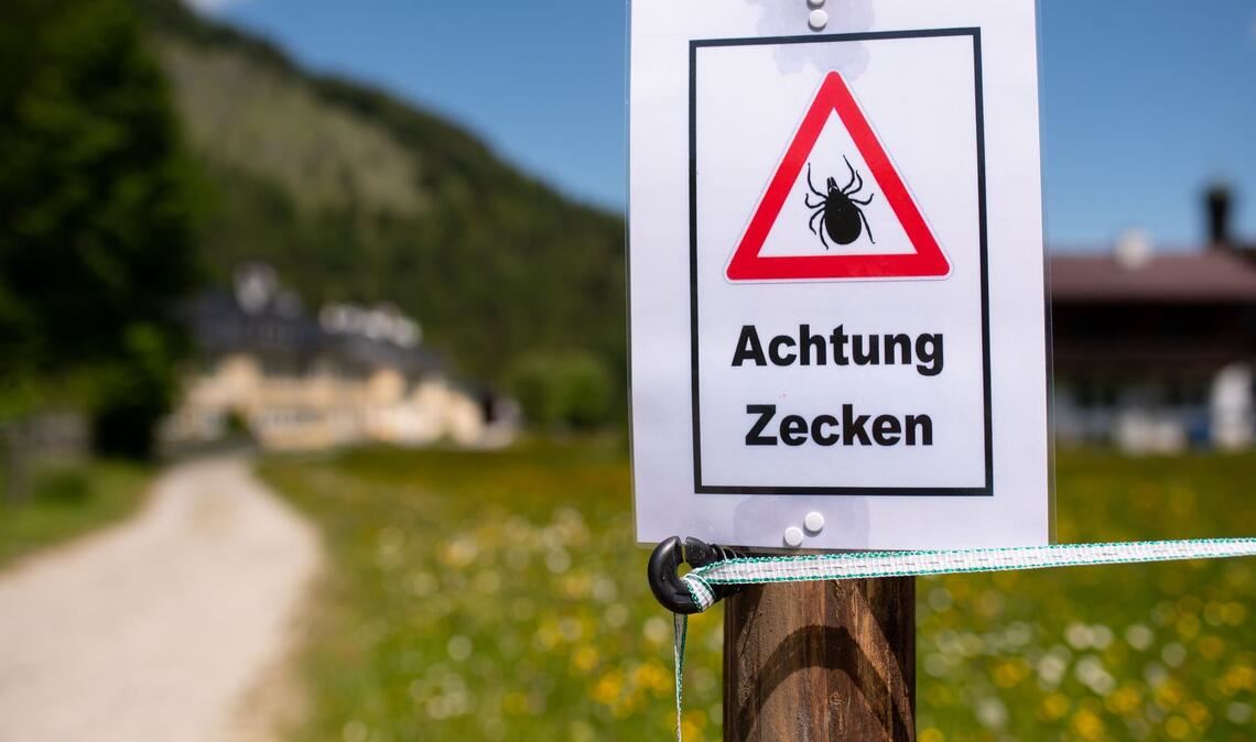 Nach einem Aufenthalt in der Natur sollte man sich unbedingt intensiv absuchen, denn diese stechen nicht sofort. Möglicherweise lässt sich so eine Infektion noch rechtzeitig verhindern. (Archivbild)