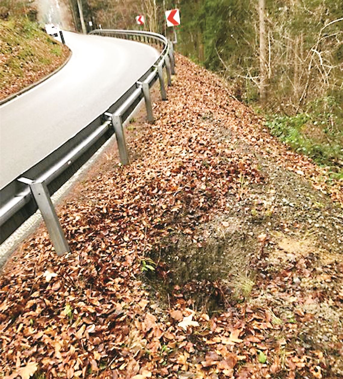 Nach einem Wasserrohrbruch im Bankett ist die Kreisstraße 4552 bis voraussichtlich Freitag gesperrt. Foto: Enzkreis/Heinrich Elwert