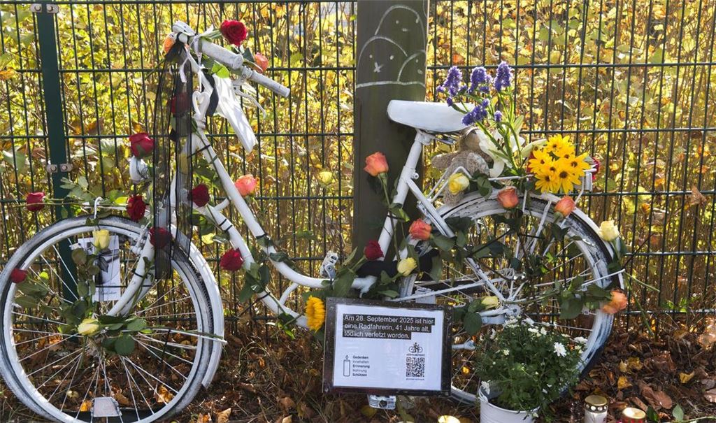 Nach vorläufiger Statistik war jeder sechste (16,4 Prozent) im Straßenverkehr getötete Mensch mit dem Fahrrad unterwegs. (Archivbild)