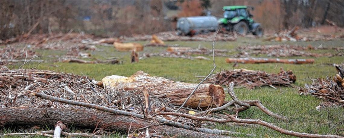Treibholz: Stadt hilft Bauern