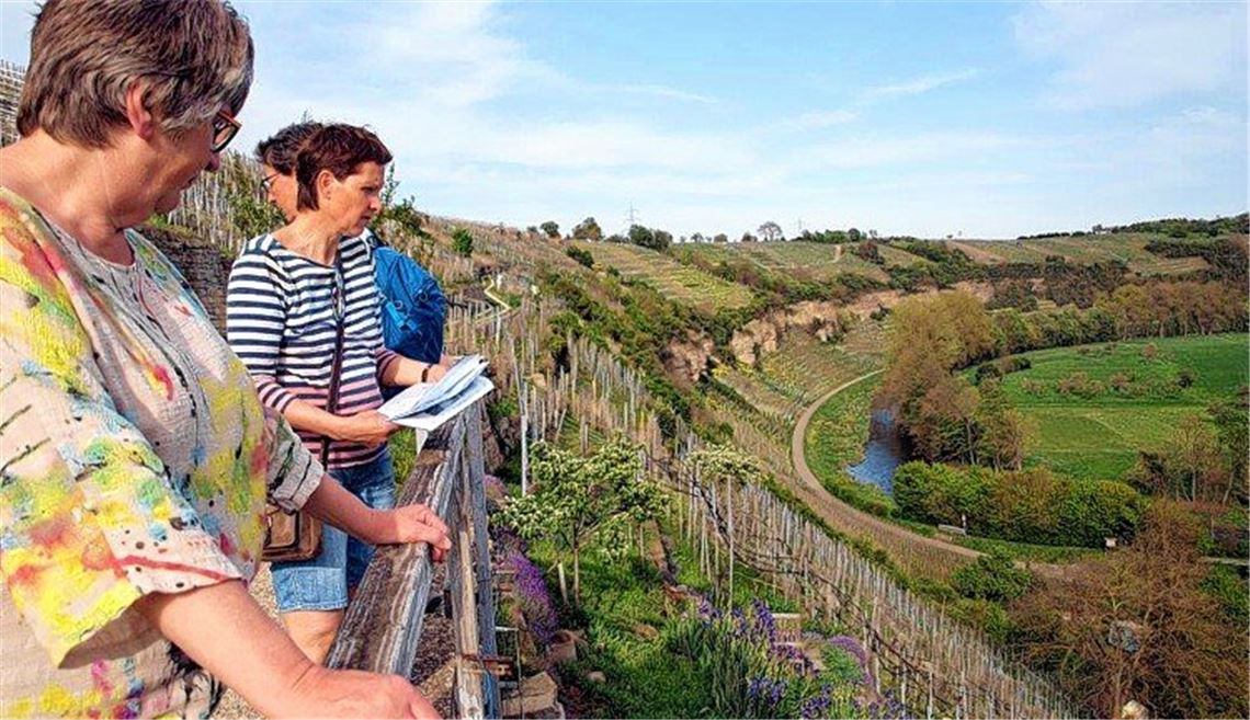 Ein Dorf und seine Reben Ein Dorf und seine Reben