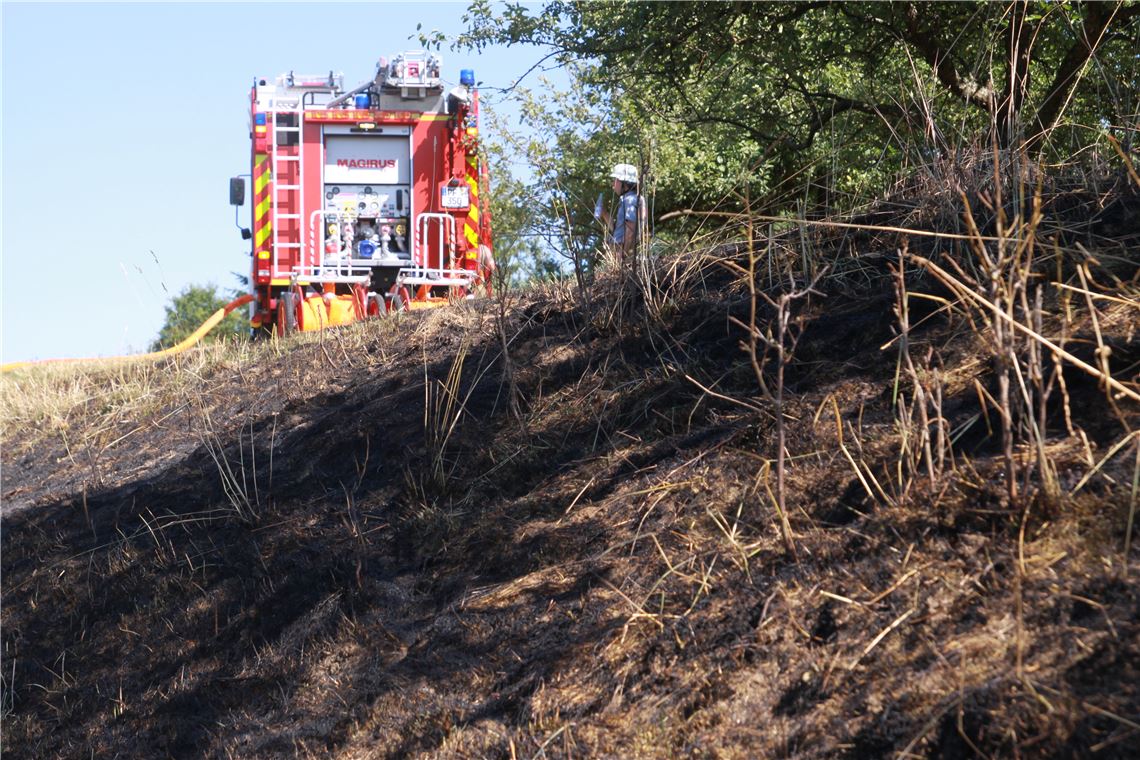 Nahe Dürrmenz brennt eine Fläche von rund 300 Quadratmetern. Die Feuerwehr bekommt die Flammen schnell in den Griff. Foto: Nill