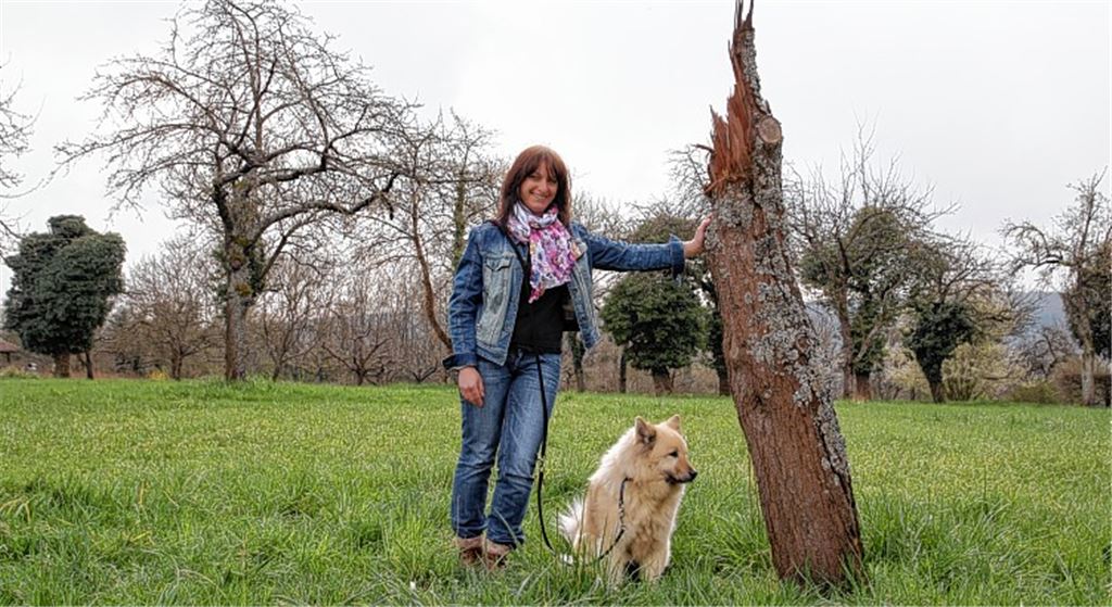 Nahe der Burg Löffelstelz gibt es eine Modellwiese, die die Gartenschau überdauern und Menschen an die Streuobst-Pflege heranführen soll – mit dabei ist Irmgard Rapp.