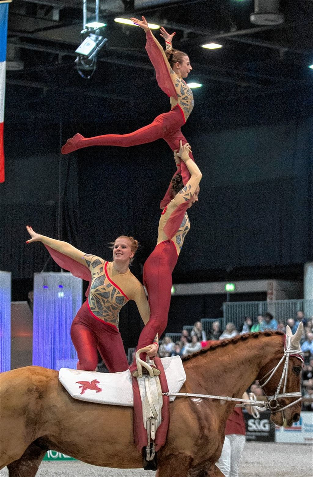 Nationalhymne für Pegasus