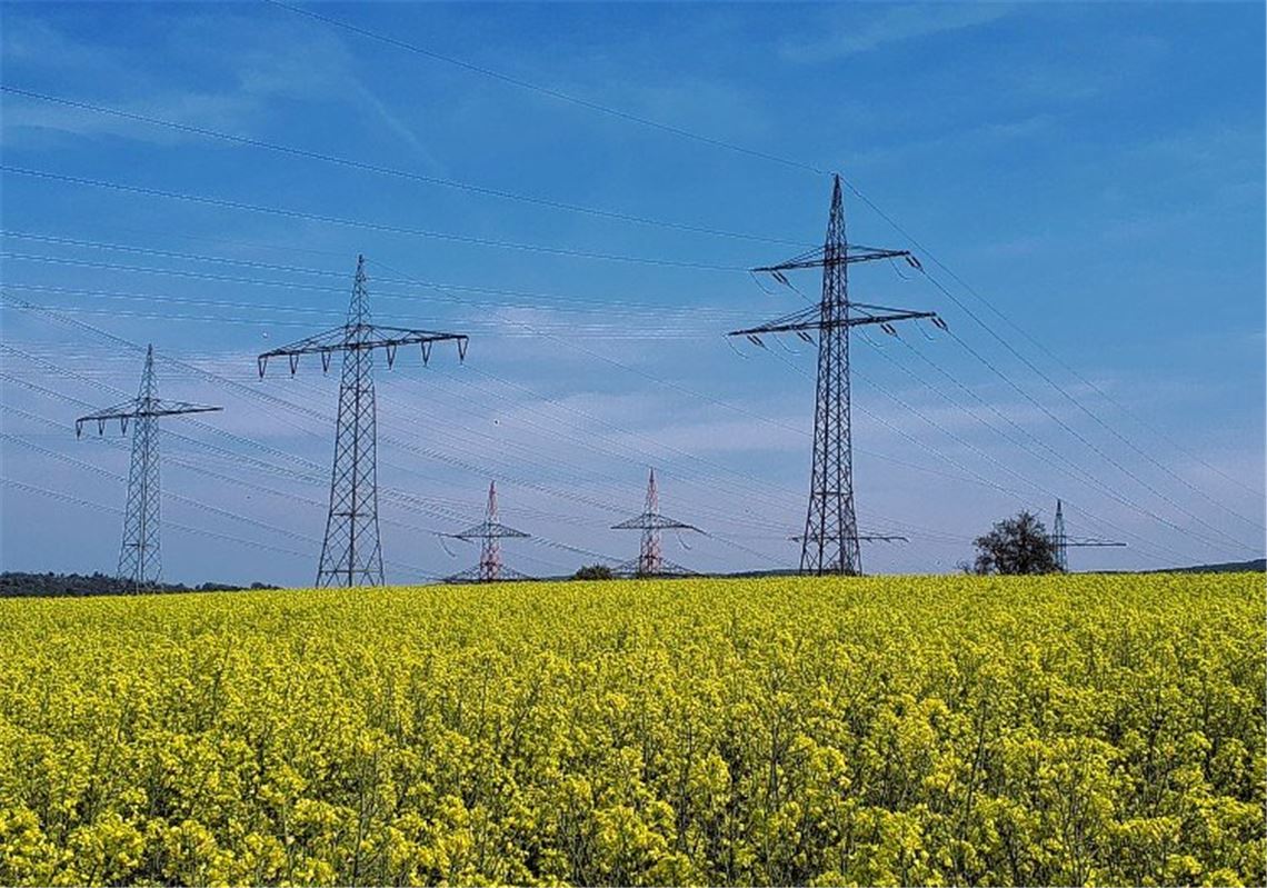 Frühlingsgefühle