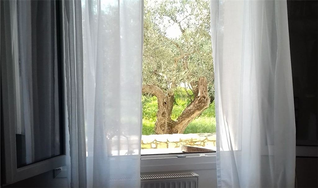Naturerlebnis: Mit Blick auf einen Olivenbaum wachen die Gäste in dieser von Irini Nikolakakis vermieteten Ferienwohnung auf. Foto: privat