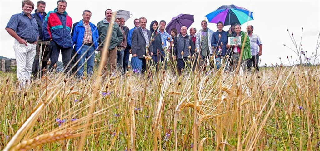 Naturschützer, Landwirte und Verwaltungsexperten wollen gemeinsam bedrohte Ackerwildkräuter retten. Foto: Goertz